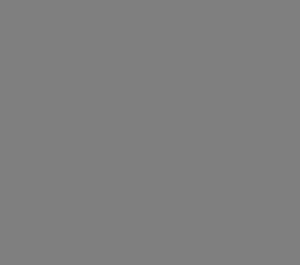 gray placeholder